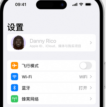 甘泉appleID维修服务iPhone设置中Apple ID显示为灰色无法使用 