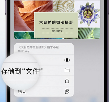 甘泉apple维修中心分享iPhone文件应用中存储和找到下载文件