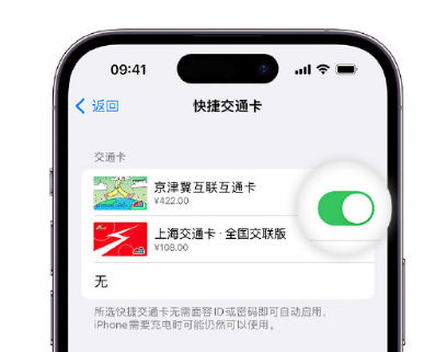 甘泉apple维修点分享iPhone上更换Apple Pay快捷交通卡手绘卡面 