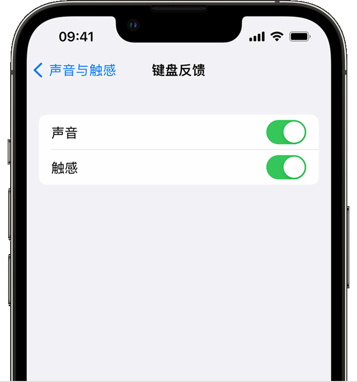 甘泉苹果14维修店分享如何在 iPhone 14 机型中使用触感键盘 