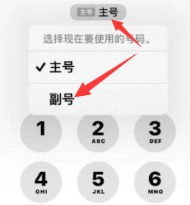 甘泉苹果14维修店分享iPhone 14 Pro Max使用副卡打电话的方法 