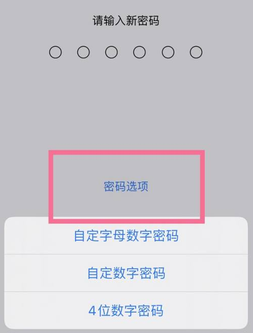 甘泉苹果14维修分享iPhone 14plus设置密码的方法 