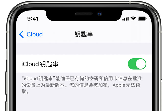 甘泉苹果手机维修分享在 iPhone 上开启 iCloud 钥匙串之后会储存哪些信息 