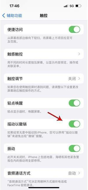 甘泉苹果手机维修分享iPhone手机如何设置摇一摇删除文字 